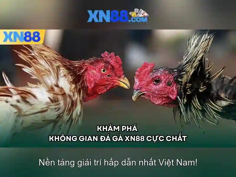 Lịch sử và phát triển\n
