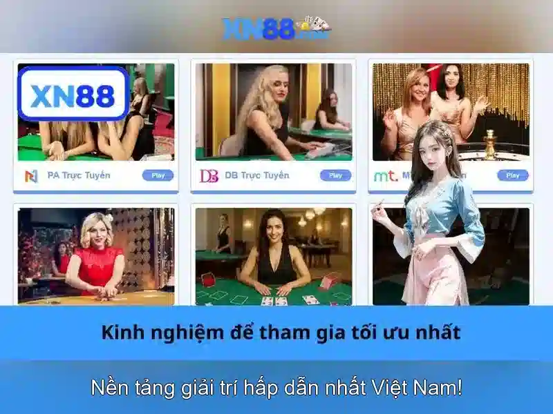 An toàn và hỗ trợ người dùng