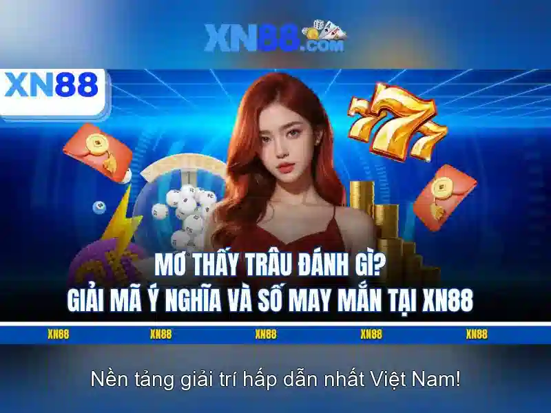 Xn88: Nền tảng giải trí trực tuyến và cộng đồng người chơi