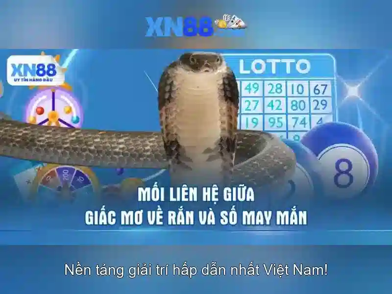 Hỗ trợ khách hàng và địa chỉ pháp lý