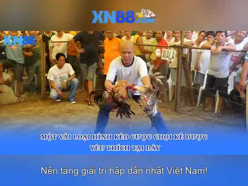 xn88 - Giới thiệu và các điểm nổi bật