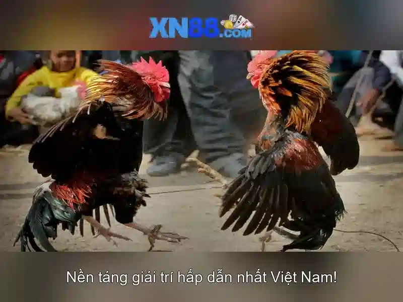 Các sản phẩm chính