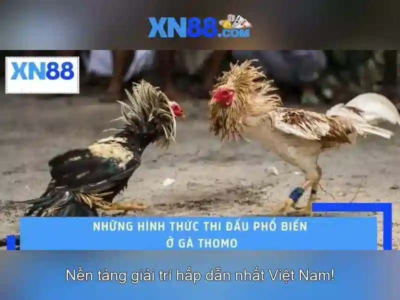 Nút giao diện và tính năng