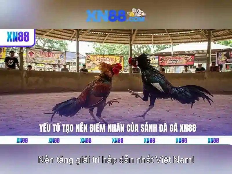 xn88 là gì và nguồn gốc của nền tảng cược trực tuyến
