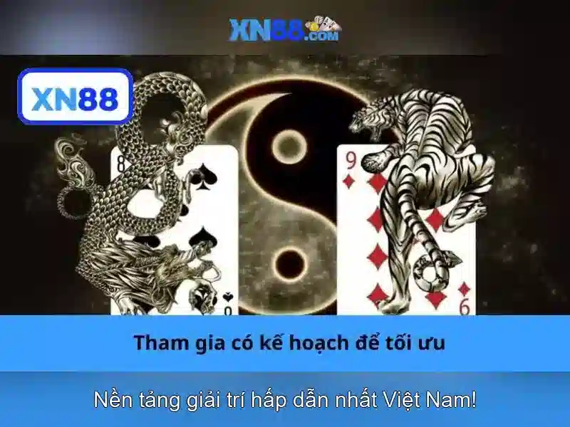 xn88: Đánh giá và hướng dẫn sử dụng
