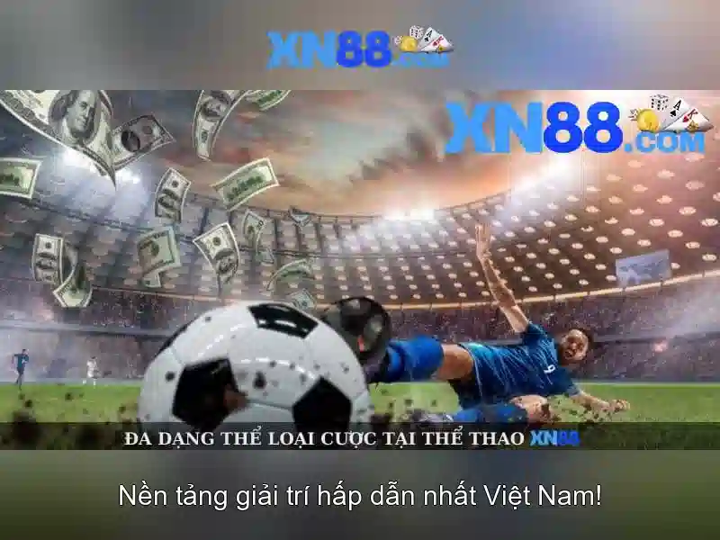 Trải nghiệm người dùng và hỗ trợ