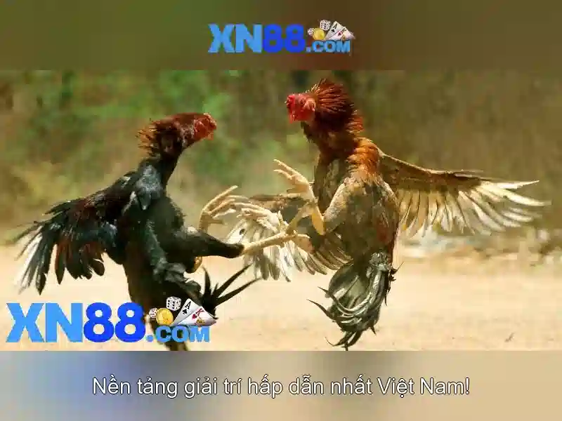 xn88 – Nền tảng giải trí trực tuyến