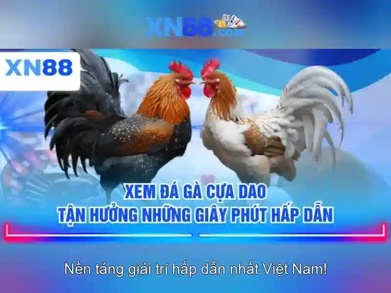 Giới thiệu về xn88: nền tảng chơi game trực tuyến