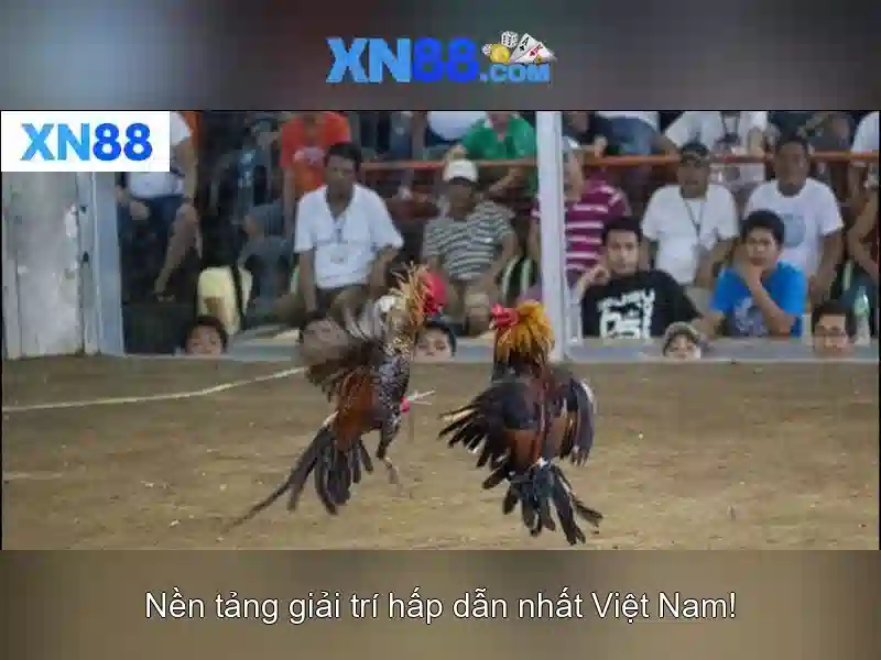 Nguồn gốc và sứ mệnh của m1 xn88