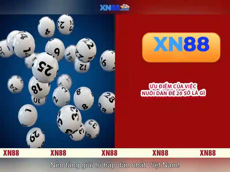 Cách tham gia và bảo mật tài khoản