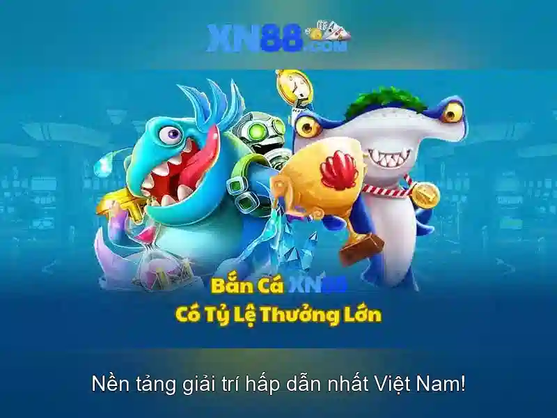 Trải nghiệm người dùng và phản hồi từ cộng đồng