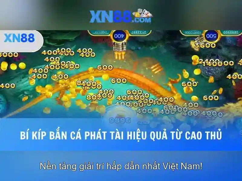 xn88: Tìm hiểu về nền tảng cược trực tuyến nổi bật