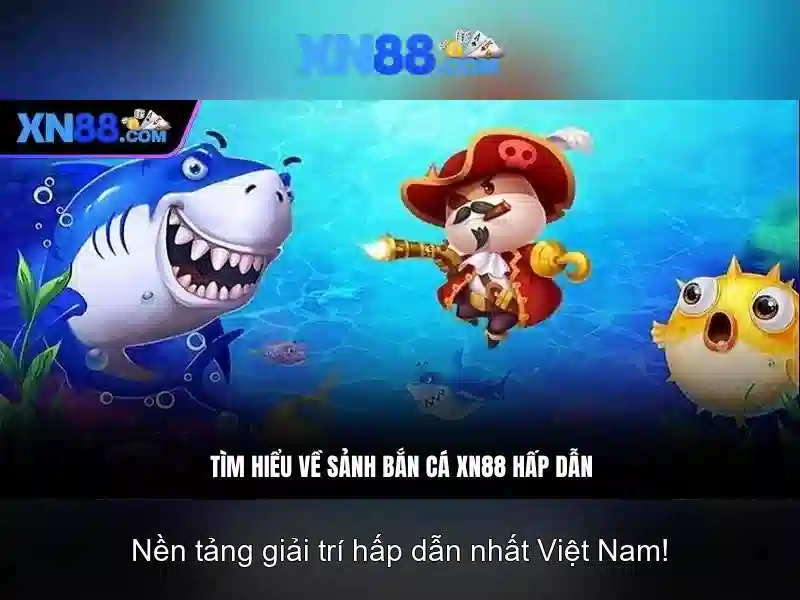 Lịch sử và sự phát triển