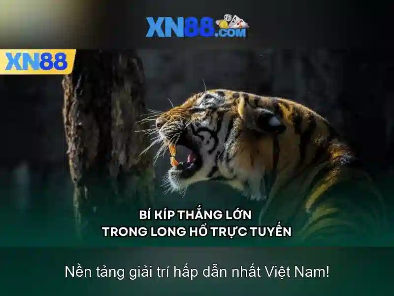 xn88: một cái nhìn tổng quan về nền tảng cược trực tuyến