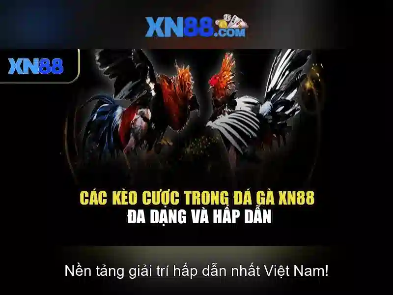 Các trò chơi phổ biến