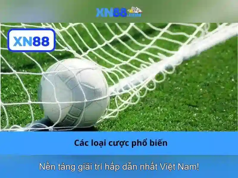 Giới thiệu về xn88