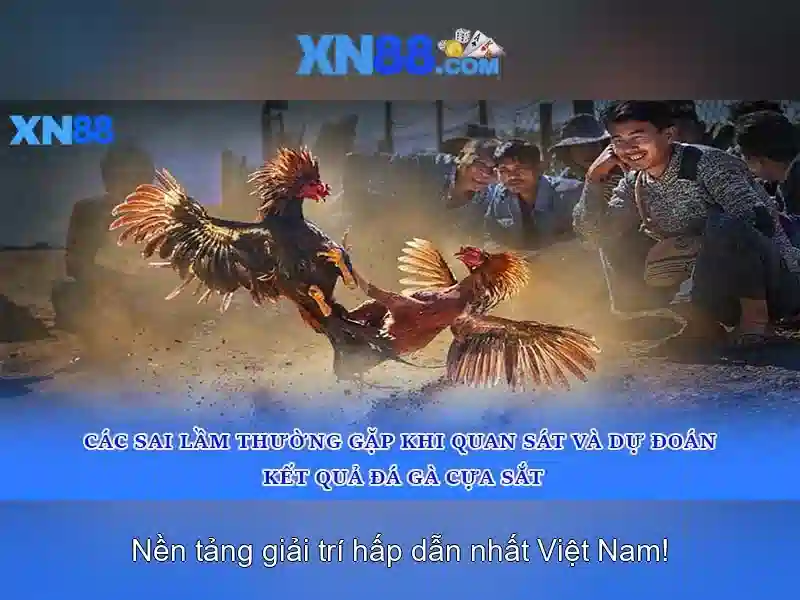 Xn88: Nền tảng giải trí và cộng đồng game thủ
